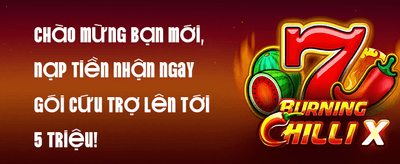Hoàn Trả VIP Hàng Tuần promotion image